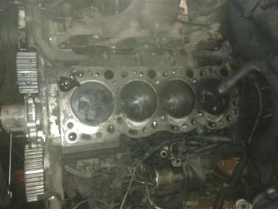 04022010149.jpg