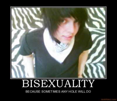 bisexuality_demotivational_poster_1213730056.jpg
